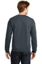Back model photo