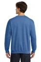 Back model photo