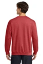Back model photo