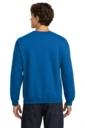 Back model photo