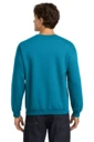 Back model photo