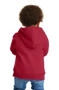 Back model photo