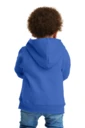 Back model photo