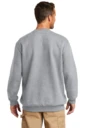 Back model photo