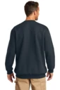 Back model photo