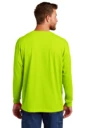 Back model photo