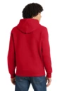 Back model photo