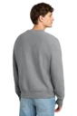 Back model photo