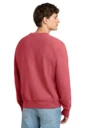Back model photo