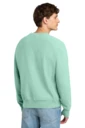 Back model photo