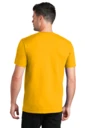 Back model photo
