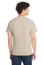 Back model photo