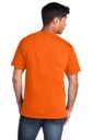 Back model photo