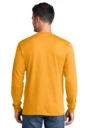 Back model photo