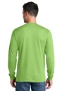 Back model photo