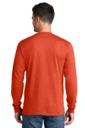 Back model photo