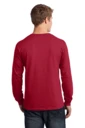 Back model photo