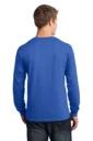 Back model photo
