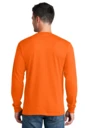 Back model photo