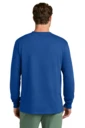 Back model photo