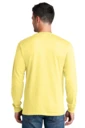 Back model photo