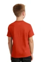 Back model photo