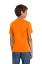 Back model photo