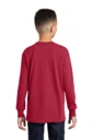 Back model photo
