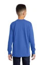 Back model photo