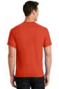 Back model photo