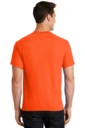 Back model photo
