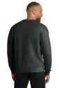 Back model photo