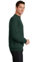 Side model photo