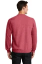 Back model photo