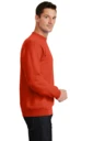 Side model photo