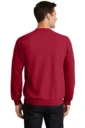Back model photo