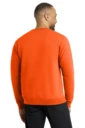 Back model photo