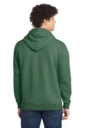 Back model photo