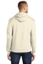 Back model photo