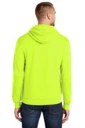 Back model photo