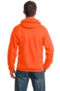 Back model photo