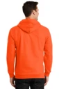 Back model photo