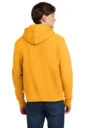 Back model photo