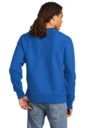 Back model photo