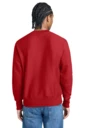 Back model photo