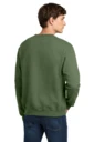 Back model photo