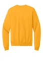 Back product photo
