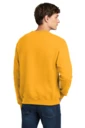 Back model photo