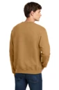 Back model photo