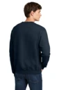 Back model photo